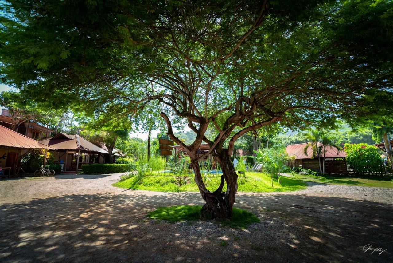 Cabanas La Tortuga Ayampe Exterior photo